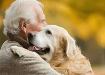 Anziano vedovo ricevere in regalo un cane