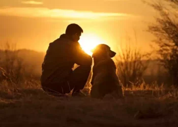 Un cane ti ama per come sei
