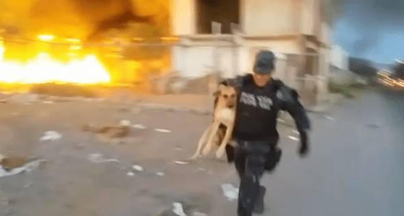Messico: il poliziotto porta in salvo il cane che rischia la vita in un incendio