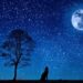 il-racconto-delle-stelle