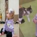 adotta un gattino