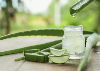 Aloe Vera: 10 Benefici della Pianta dell’Immortalità degli Egizi