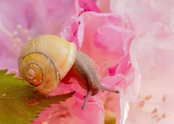 Tutto quello che tu dai, ti ritorna