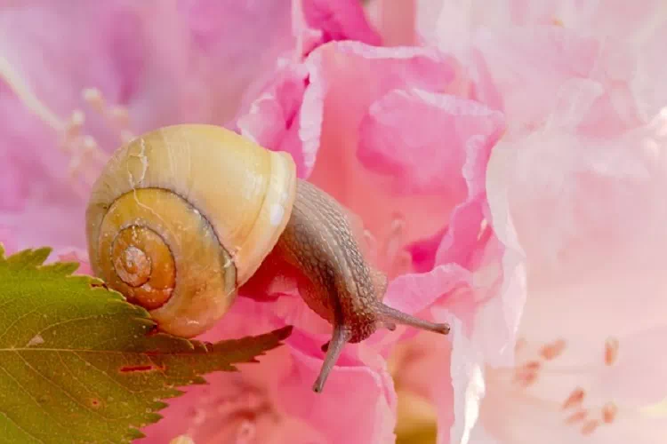 Tutto quello che tu dai, ti ritorna