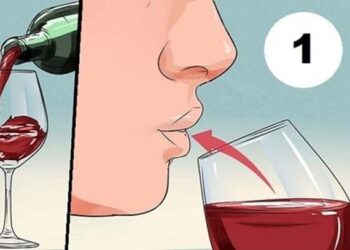 Il vino rosso: ne beve un bicchiere prima di andare a letto ed ecco l'inaspettato