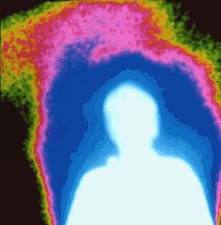 Il Mistero dei 7 Anni: allo scadere di ogni settimo anno il nostro corpo fisico non è più lo stesso