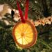 Aria di Natale al profumo di agrumi: 5 spunti per decorare la casa delle feste