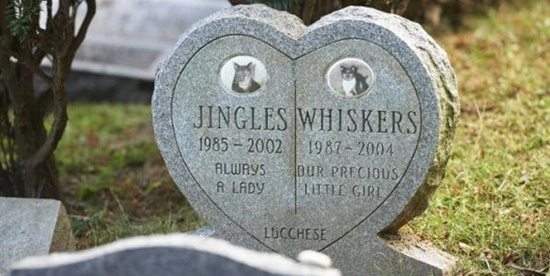 Il Cimitero Di New York Dove Gli Animali Saranno Seppelliti Accanto Ai Loro Proprietari