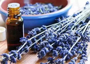 Lavanda sotto i piedi prima di dormire
