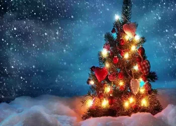 Va letta prima di fare l’albero