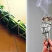Come preparare gli Incensi Sciamanici per eliminare stress