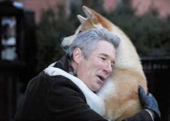 i-cani-ricordano