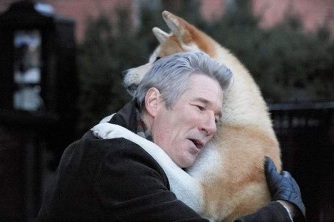 i-cani-ricordano
