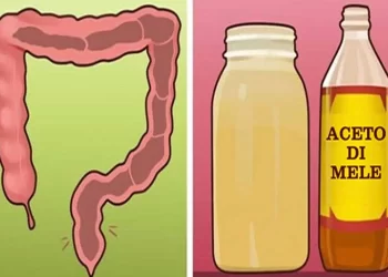 Come disintossicare l’organismo con aceto di mele e miele