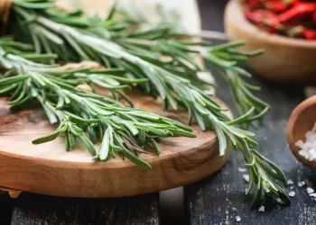 Alcool al rosmarino: ecco l'unguento naturale