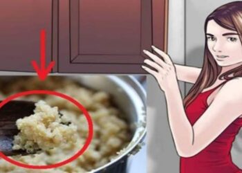 La bomba perdi peso di cui nessuno parla: mangiatene a più non posso e vedrete come…