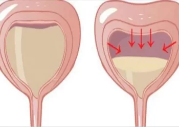 Il numero di volte che fai pipì indica quanto sei sano