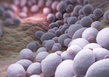elimina-la-candida