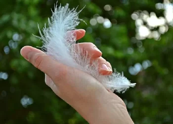 8 segnali che ti fanno capire che i tuoi cari sono vicini