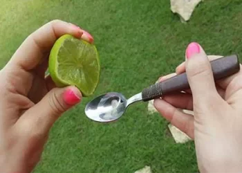 Mescola il succo di un limone con olio d’oliva
