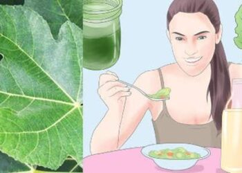 La foglia che tratta il diabete, abbassa colesterolo e trigliceridi