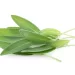 Come eliminare le energie negative con la salvia bianca