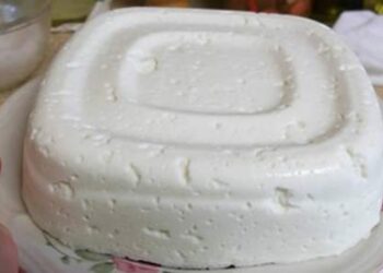 Formaggio fresco dal sapore unico con solo tre ingredienti: latte, limone e yogurt