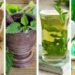 I migliori shampoo ecologici cosa devono contenere? Scopri i migliori prodotti naturali