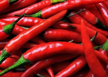 Crema al peperoncino, ecco alcuni rimedi fai da te per combattere la cellulite e dimagrire
