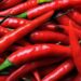 Crema al peperoncino, ecco alcuni rimedi fai da te per combattere la cellulite e dimagrire