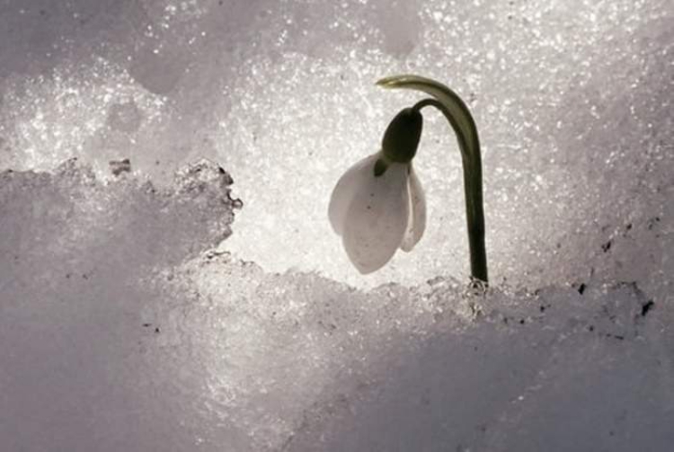 Sisu: dalla Finlandia una ricetta per superare i momenti di difficoltà