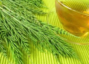Migliora la circolazione delle gambe con gli infusi di erbe medicinali