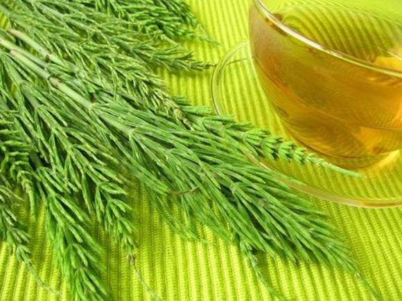 Migliora la circolazione delle gambe con gli infusi di erbe medicinali