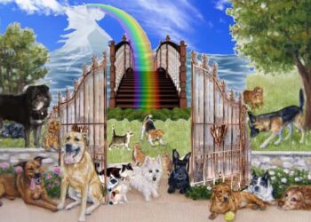 Il Ponte dell’arcobaleno: conosci la leggenda? Video