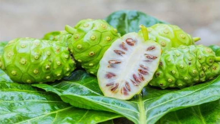 Previeni e cura diabete, ulcere, gastrite e ipertensione con questo frutto miracoloso