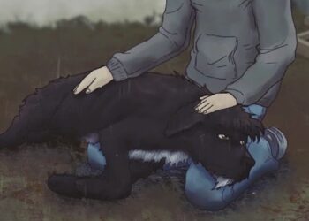 Se pensi di perdere tempo leggendo questa storia, ti sbagli. Ti commuoverai e forse piangerai. Questo fatto è vero e emozionante