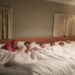 Un letto di 5 metri per dormire con i propri figli: la scelta di due genitori irlandesi