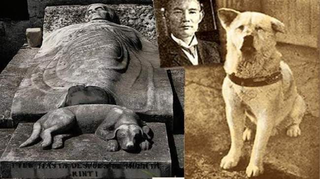 Ecco la vera storia di Hachiko, il cane fedele che ha fatto piangere il mondo intero