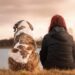 cosa-può-insegnare-un-cane