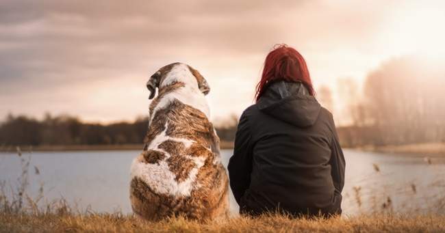 cosa-può-insegnare-un-cane