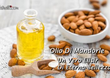 Olio di mandorle dolci, un vero elisir di eterna bellezza. Tutti gli usi e benefici