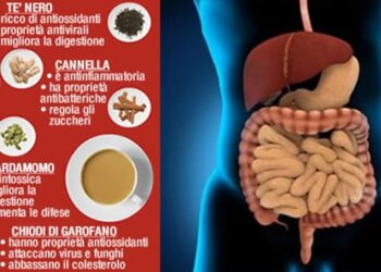 tè-indiano-benefici