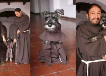 Fra’ Baffo, l’irresistibile cane randagio adottato dal monastero