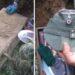 Scavando nel pozzo, trova una cassetta metallica con un tesoro della II Guerra Mondiale