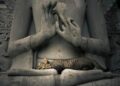 La leggenda buddista sui gatti: un simbolo di spiritualità