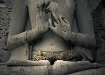 La leggenda buddista sui gatti: un simbolo di spiritualità