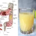Il succo che svuota l’intestino da tossine