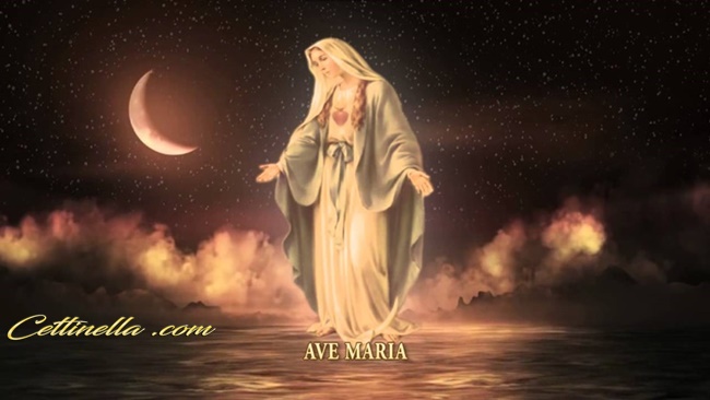 Preghiera A Maria Santissima, Prima Del Riposo Notturno