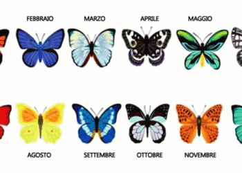Individua  la farfalla associata al tuo mese di nascita e scopri la tua personalità