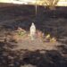 La statua della Vergine Maria è rimasta miracolosamente intatta dopo il terribile incendio